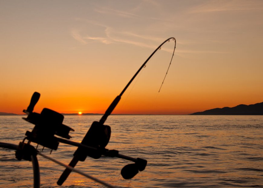 ATENÇÃO: Último dia de pesca liberada nos rios de MS