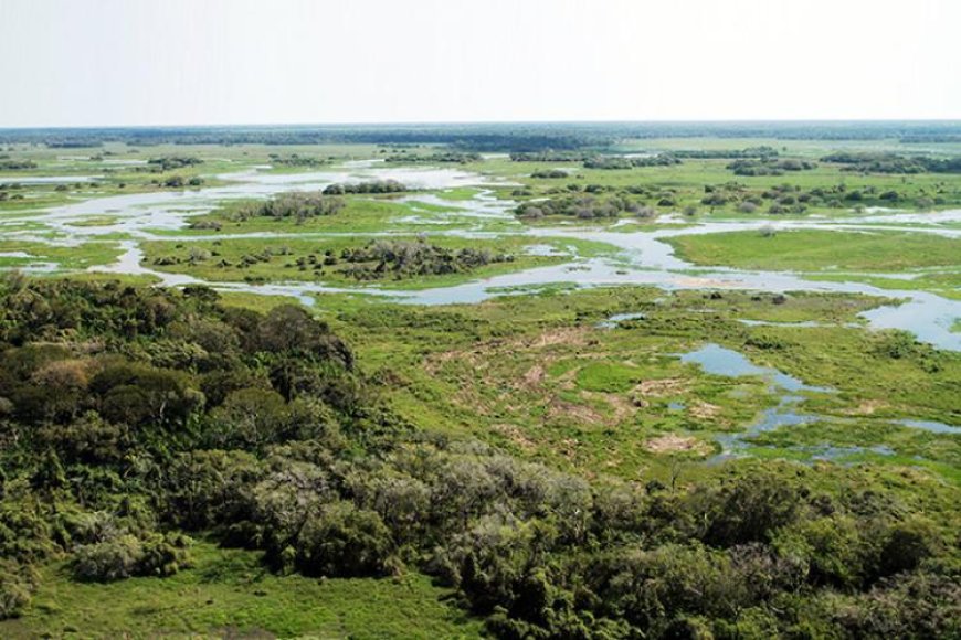 A pecuária é a atividade que mais gera empregos no Pantanal