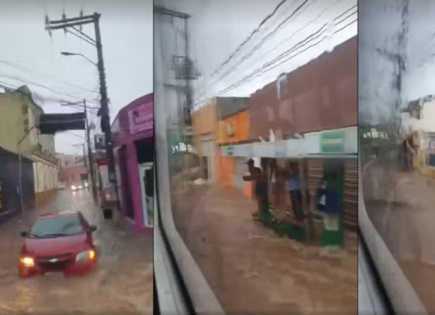 chuva forte derruba árvore e causa alagamento em avenidas de Cuiabá