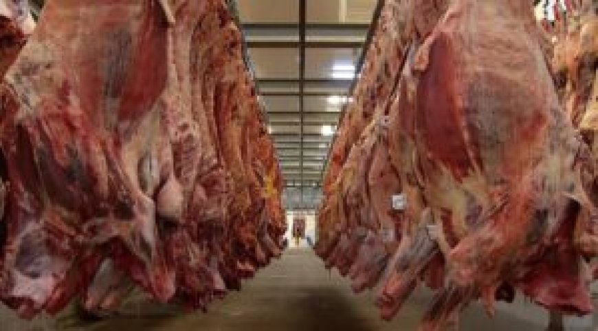 Boicote ao Carrefour: Frigoríficos suspendem fornecimento de carne em retaliação