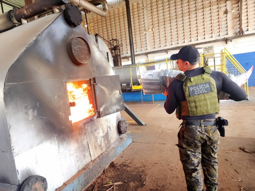 Delegacias de Santa Rita do Pardo e Bataguassu incineram 147 kg de cocaína apreendidos