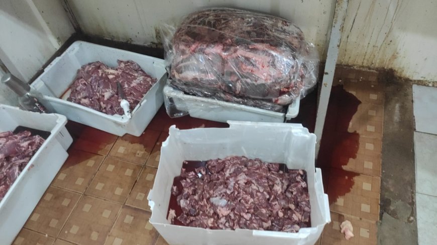 Polícia fecha espetaria clandestina e apreende 370 kg de carne imprópria para consumo em MS