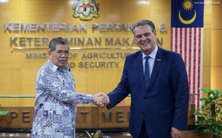 Brasil retoma venda de carne de frango para a Malásia e abre seis novos mercados