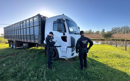Polícia Civil Desmantela Quadrilha Especializada em Furto de Gado no Noroeste do Paraná