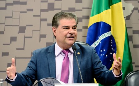 Senado Federal Destaca o Papel da Diplomacia Parlamentar na Reaproximação Brasil-EUA