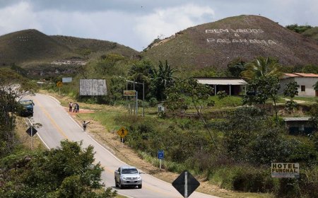 Senadores votam mudanças em regras de terras públicas na fronteira