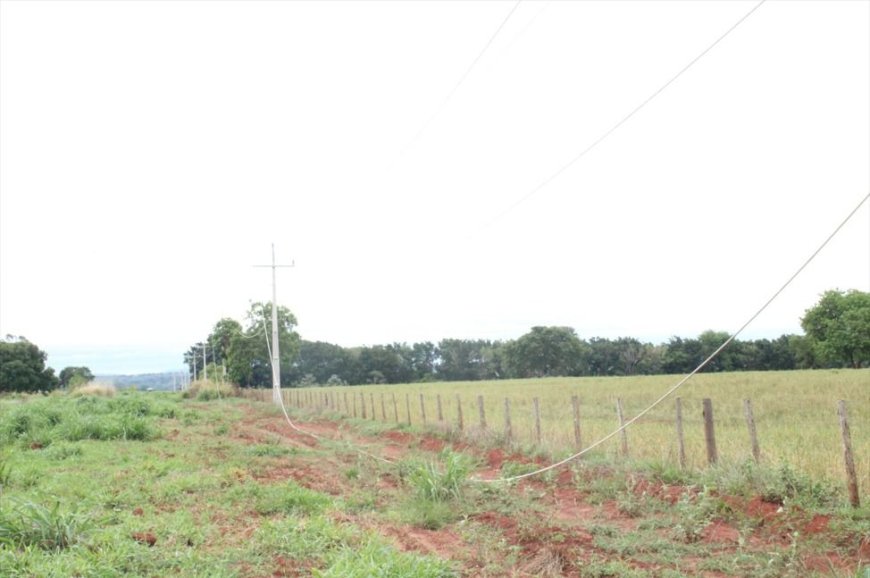 Operação policial combate furto de cabos de alta tensão