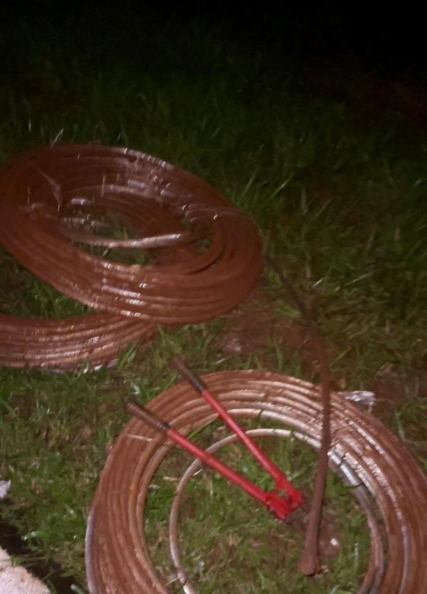 Operação policial combate furto de cabos de alta tensão