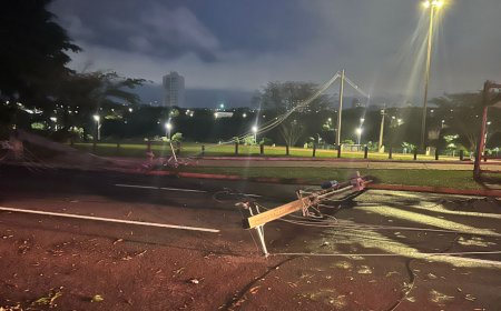Após tempestade, Parque das Nações passa por reparos e limpeza