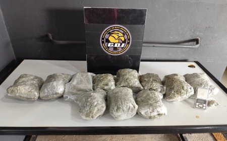 Tráfico de drogas é desmantelado em Campo Grande