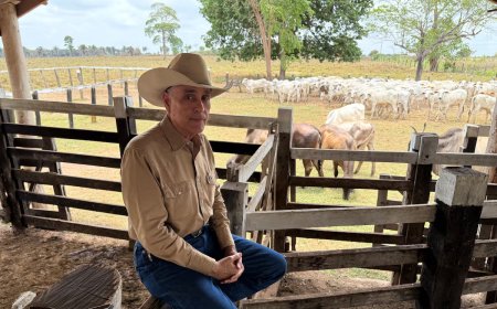 Pecuária na Amazônia enfrenta dilema entre produção e preservação