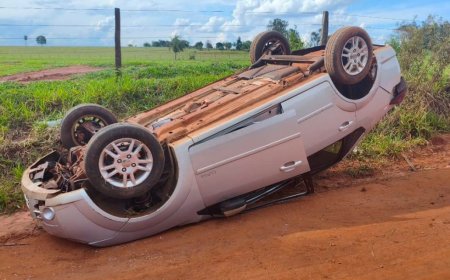 Desvio de animal provoca capotamento na MS-141