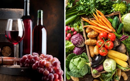 Medida fortalece segurança jurídica e amplia a eficiência administrativa