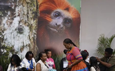 Sociedade civil e povos indígenas protagonizam debates sobre o futuro do clima