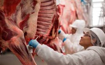 Mercado interno reage e acompanha valorização do setor pecuário