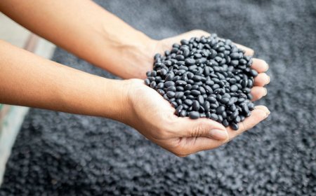 Agronegócio nacional conquista novos destinos e fortalece presença global