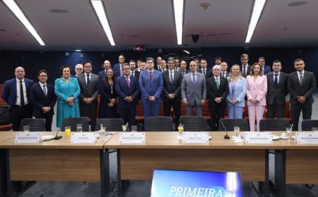 MPMS no STF: estratégias contra o crime organizado