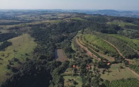 Projeto em Pardinho recupera 77% da vegetação da fazenda em SP