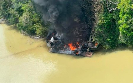 Amazônia: Logística aérea do garimpo ilegal é desmantelada