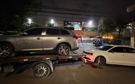 Operação do Deic apreende armas e veículos furtados em SP