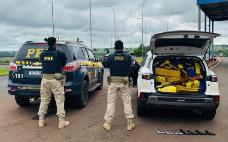 PRF apreende grande quantidade de maconha em Eldorado (MS)