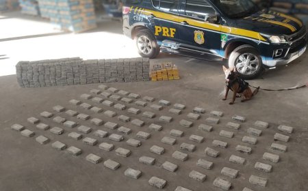 Motorista é detido com quase 400 kg de cocaína na  BR-262