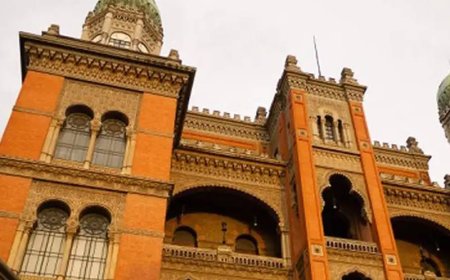 Anvisa aprova início de estudos em humanos da Fiocruz para combater AME