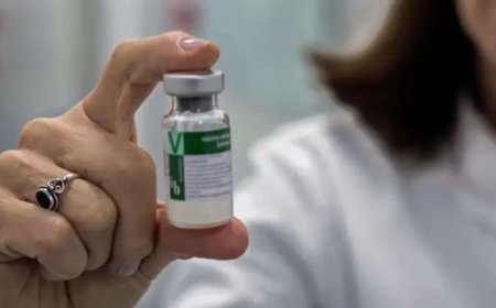 Anvisa autoriza imunizante nacional contra dengue