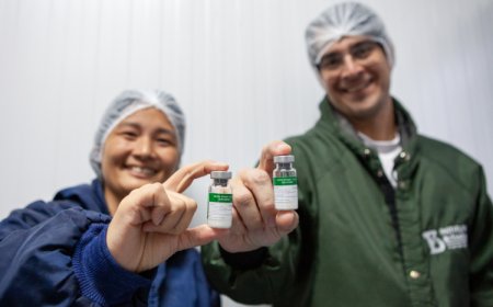 Nova arma contra dengue: dose única do Butantan é aprovada no Brasil