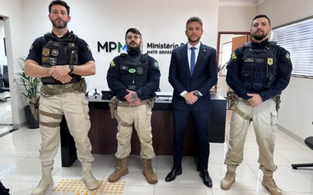 Parceria entre MPMS e PRF fortalece estratégias contra ilícitos ambientais na região