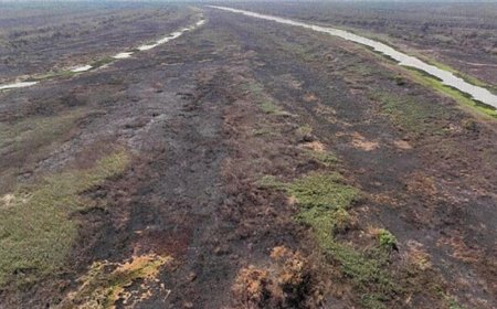 MPMS reforça combate ao uso irregular do fogo no estado