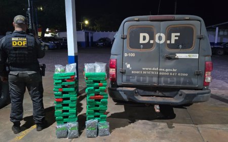 DOF localiza 77 quilos de maconha abandonados em Amambai