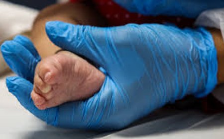 Fiocruz começa testes de tratamento inovador para atrofia muscular