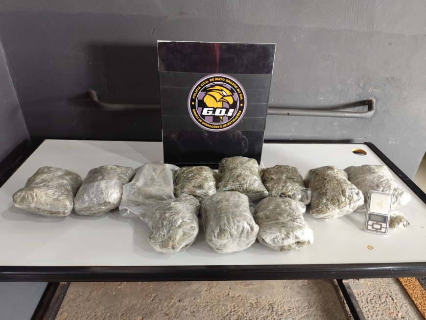 Tráfico de drogas é desmantelado em Campo Grande