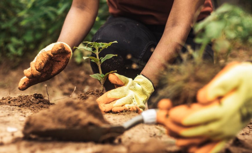 Brasil impulsiona soluções climáticas na COP 30
