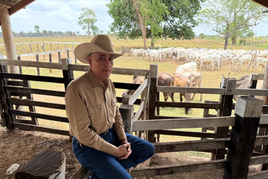 Pecuária na Amazônia enfrenta dilema entre produção e preservação
