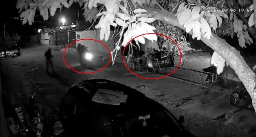 Suspeito é preso após adolescente de 15 anos ser morto na Vila Nhanhá