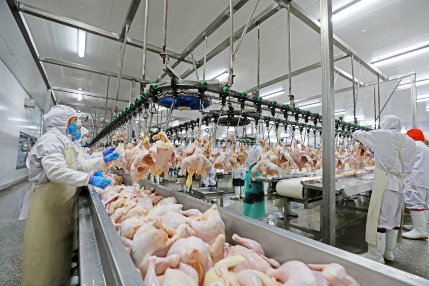 Exportações de frango para China são retomadas