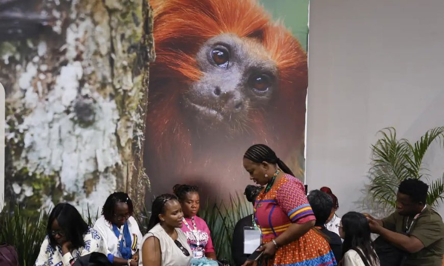 Sociedade civil e povos indígenas protagonizam debates sobre o futuro do clima