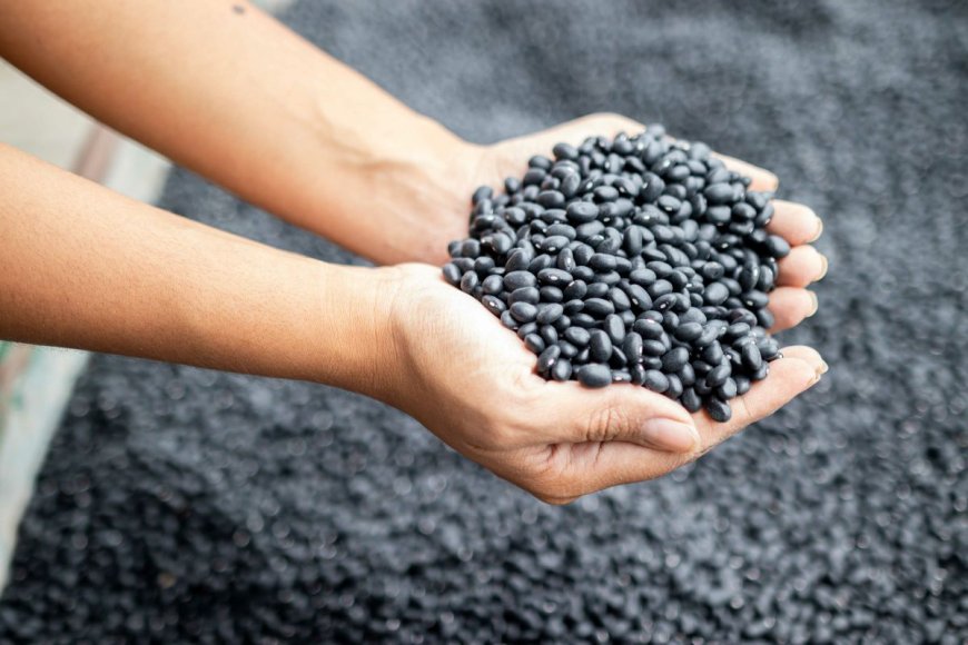 Agronegócio nacional conquista novos destinos e fortalece presença global