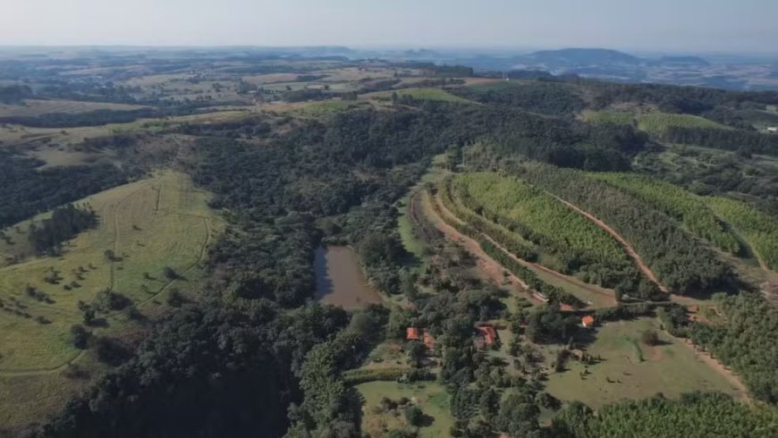 Projeto em Pardinho recupera 77% da vegetação da fazenda em SP