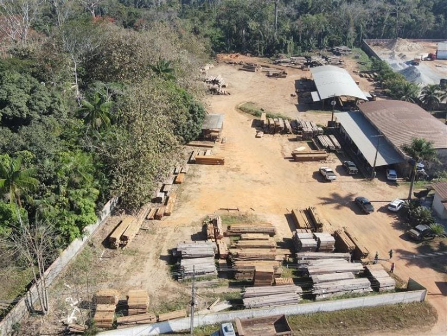 Ações reforçam rastreabilidade da madeira e proteção ambiental