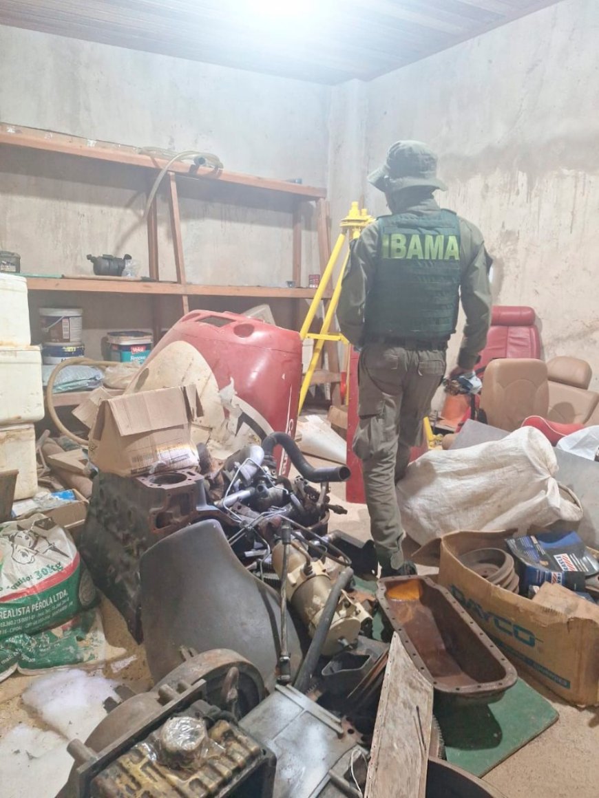 Amazônia: Logística aérea do garimpo ilegal é desmantelada