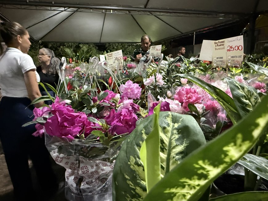 A Primavera da Solidariedade Floresce: 13ª Feira da APAE Ilumina Nova Andradina (MS)