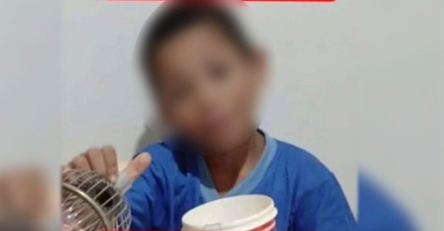 Menino desaparecido é encontrado morto em Jaraguari