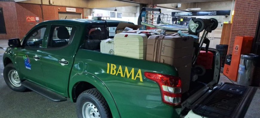 Tráfico internacional de fauna é interceptado no aeroporto de São Paulo