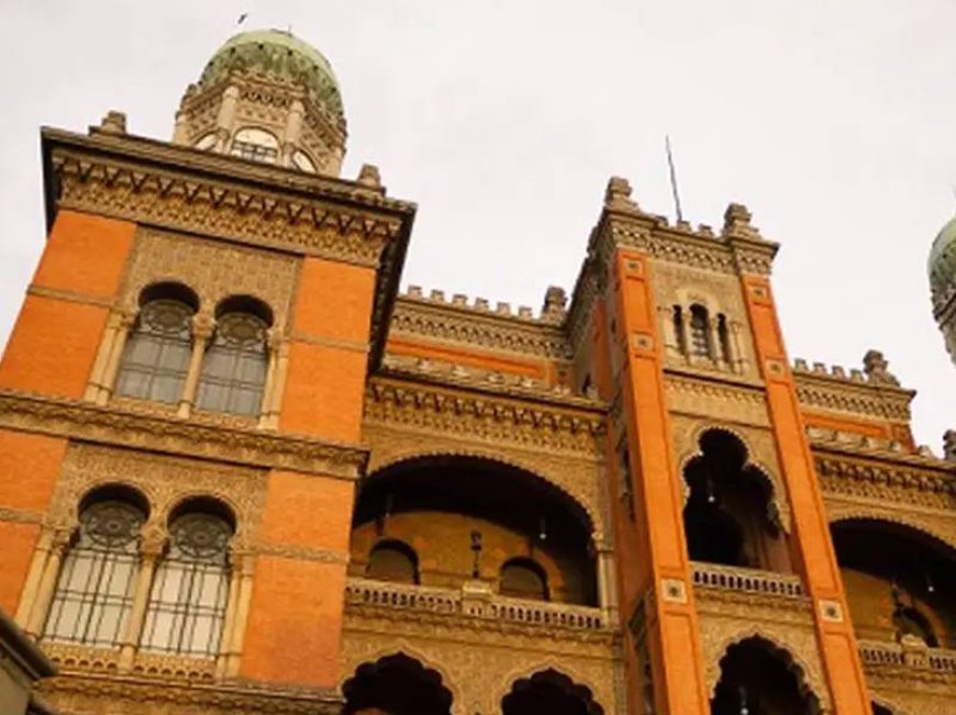 Anvisa aprova início de estudos em humanos da Fiocruz para combater AME