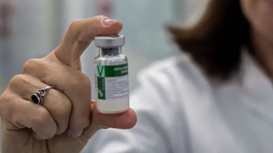 Anvisa autoriza imunizante nacional contra dengue