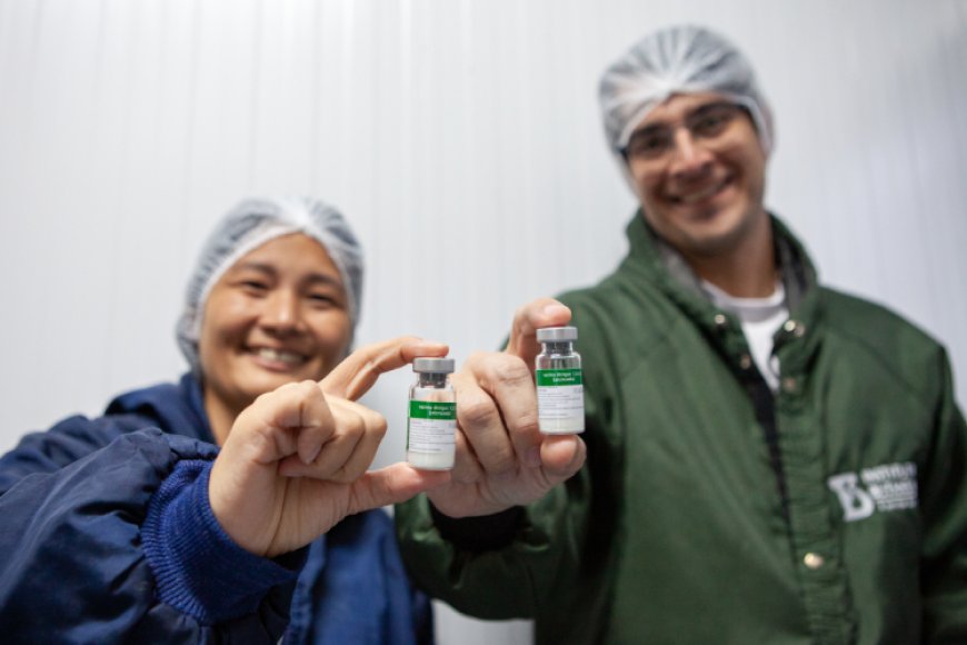 Nova arma contra dengue: dose única do Butantan é aprovada no Brasil