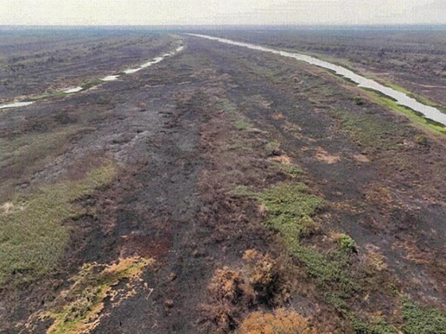 MPMS reforça combate ao uso irregular do fogo no estado